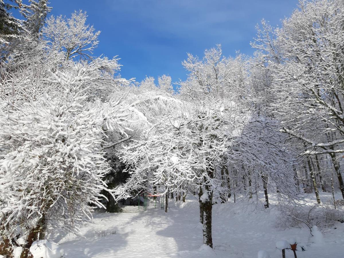 Hotel Les Sentiers Du Lac Tremouille  Pokoj fotografie